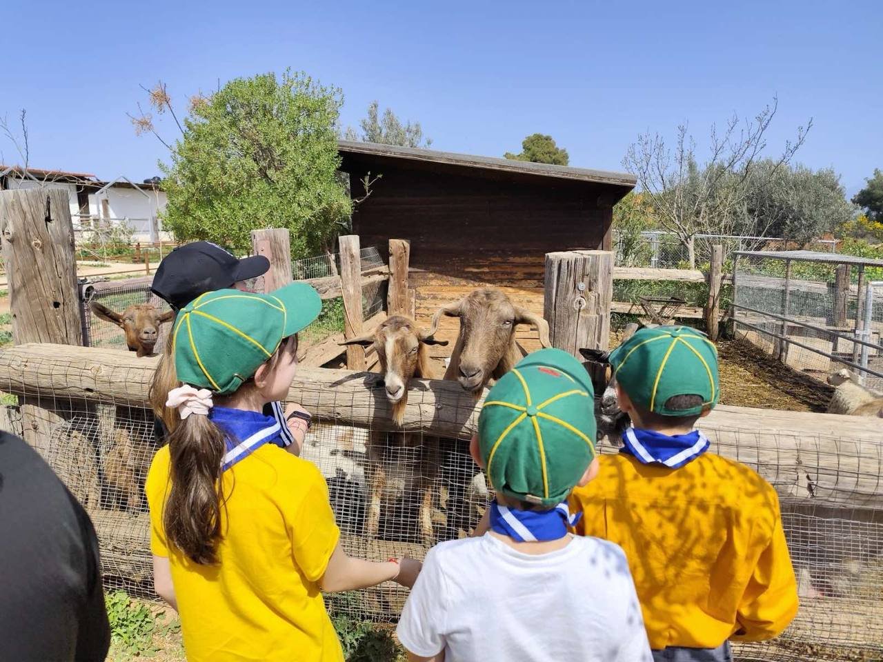 Στιγμιότυπα από διαφημίσεις και προβολές
