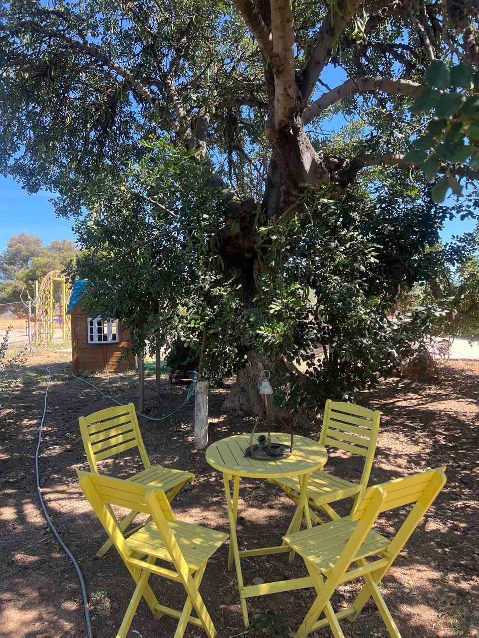 Εικόνα από τη φάρμα